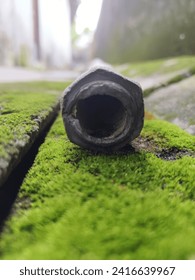 PVC pipe holes that have long been damaged are now overgrown with green moss as a result of the rainy seaso