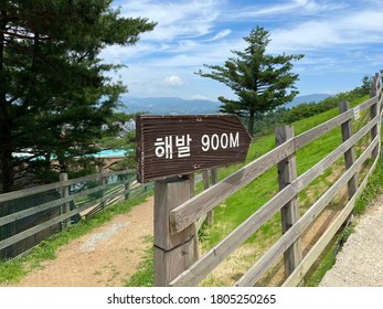Pyeongchang County, Gangwon Province - July 18, 2020: 900 Meters High For A Sheep Farm Near Daegwallyeong.