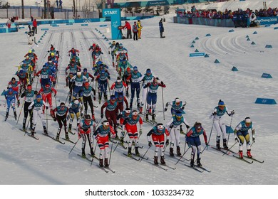 PYEONGCHANG, SOUTH KOREA - FEBRUARY 10, 2018: Mass Start In The   	Ladies' 7.5km + 7.5km Skiathlon  At The 2018 Winter Olympics In Alpensia Cross Country Centre