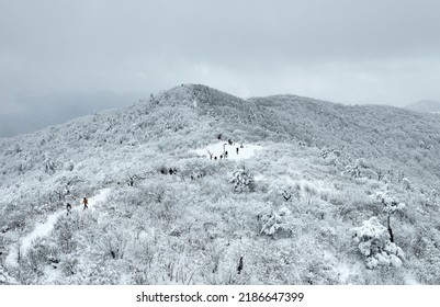 Pyeongchang-gun, Gangwon-do, South Korea - March 20, 2022: Aerial View Of Hikers Walking On Snow Covered Hiking Trail Of Balwangsan Mountain With Hoarfrost On The Trees
