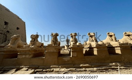 pyramid, desert, sphinx, excursion, vacation