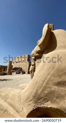pyramid, desert, sphinx, excursion, vacation