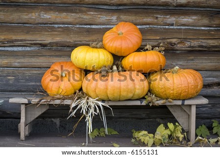 Pyramid of six orange pumpkins on a wooden bench, near the wall of loghouse. Straw wisp, hops and  hop`s leaves between pumpkins and on the floor.