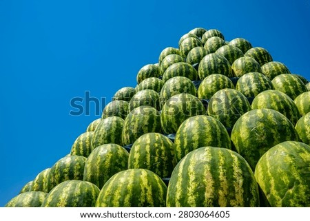 Pyramid stack of fresh green watermelons displayed outdoors against blue sky at Tajik market, summer harvest festival concept