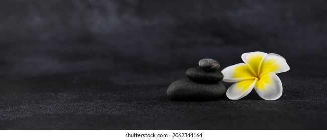 Pyramids of gray and white zen pebble meditation stones on black background with plumeria tropical flower. Concept of harmony, balance and meditation, spa, massage, relax. Banner format