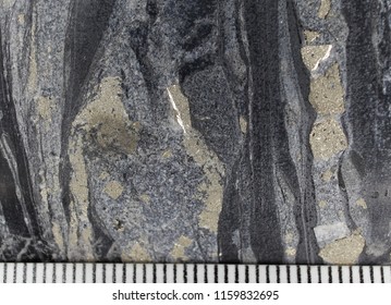 Pyrite Quartz Mineralization Black Carbon Shales Stock Photo (Edit Now ...