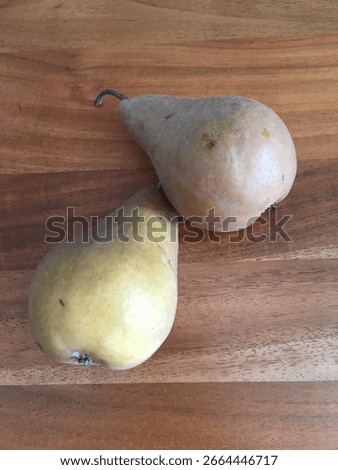 Pyrus com. 'Kaiser Alexander', common pear