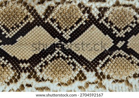 Python Leather Texture; snake skin pattern