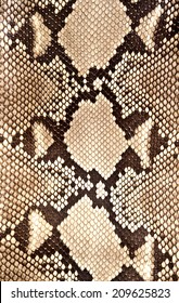 Python Skin