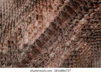 Python skin leather texture with glossy scale pattern and exotic reptile fashion background