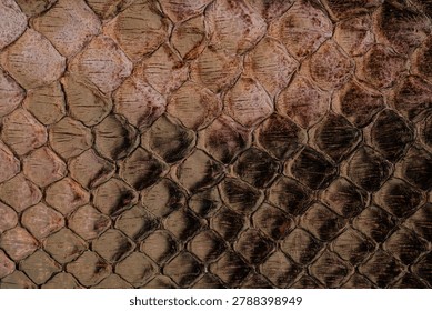 Python skin leather texture with natural snakeskin scale pattern and glossy exotic surface