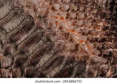 Python skin leather texture with natural snakeskin scale pattern and glossy exotic surface