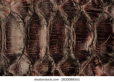 Python skin leather texture with natural snakeskin scale pattern and glossy exotic surface