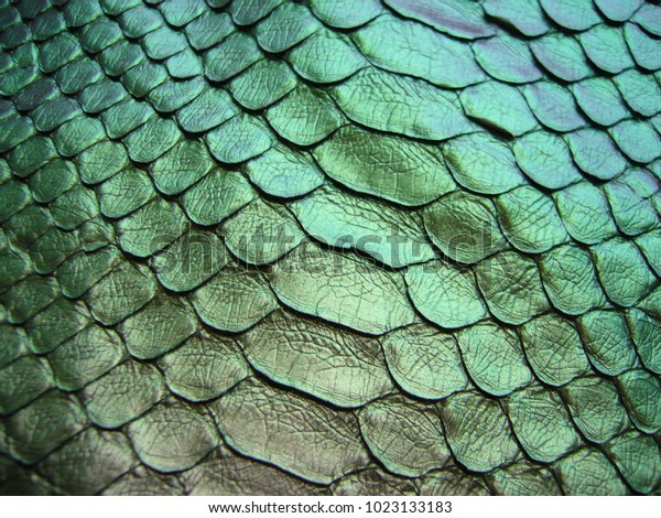 Python Skin Texture Green Python Skin Stock Photo 1023133183 | Shutterstock