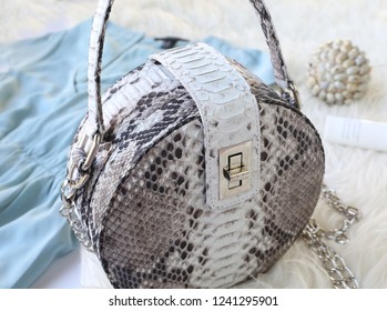 Python Snake Skin Bag Isolated On White Background