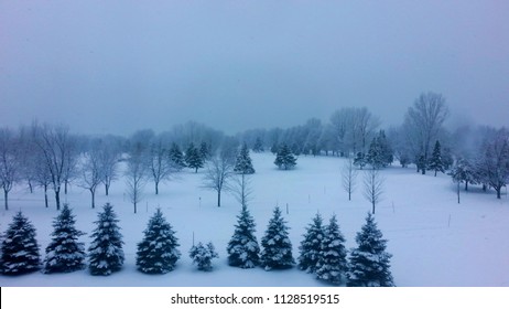 Montérégie, Qc/Canada, January 4, 2017 : A Beautiful Winter Afternoon In A Snowy Park