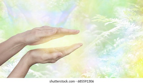 Qi Gong healing Energy - female hands held in parallel position with a golden glow between with a yellow green ethereal woodland background and copy space
