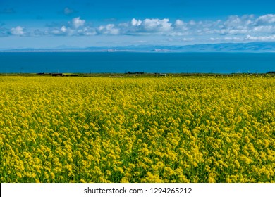 Qinghai Lake, Hainan Tibetan Autonomous Prefecture, Qinghai Province