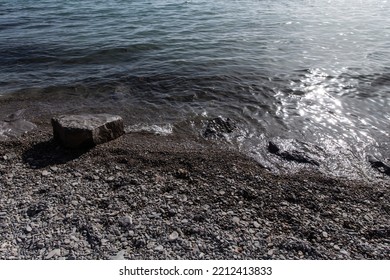 Qinghai Lake Naked Carp Of Qinghai, China