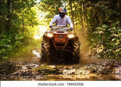 Quad Adventure