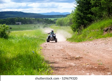 Quad Ride In Forrest