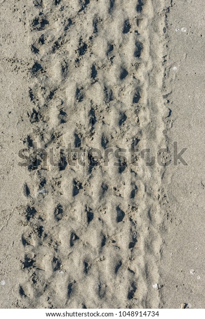 quad tracks in\
the sand with low sun\
lighting