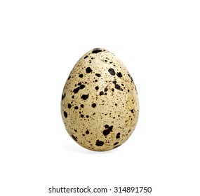Quail egg on a white background - Powered by Shutterstock