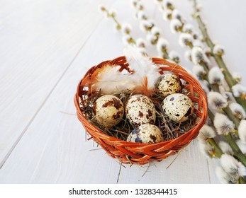 Quail eggs in basket with pussy willow on white wooden table, Easter background