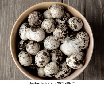 Quail eggs in  bowl on  background of an old wooden shield. Black and white photo. Agricultural products. Healthy dietary nutrition