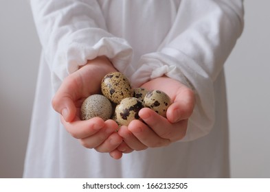 Quail eggs in hands of little girl in white dress - Shutterstock ID 1662132505
