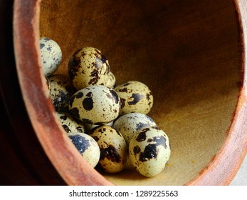 Quail Eggs In The Hollow Of The Wood