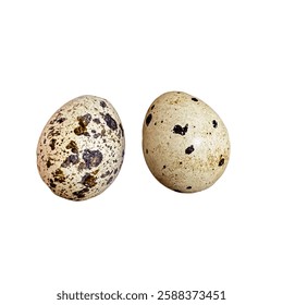 Quail Eggs Isolated as food background, Diet Egg, Healthy Breakfast, Natural Organic Nutrition