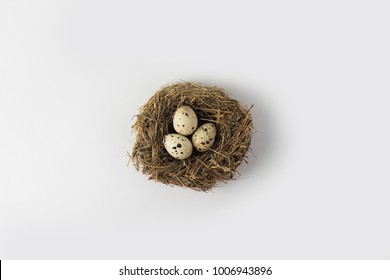 Quail Eggs In A Nest On A White Background. View From Above.