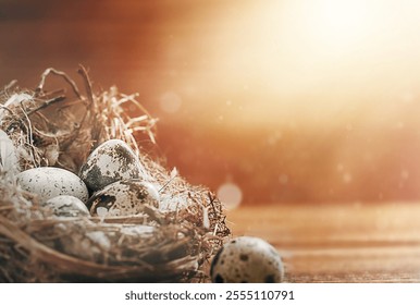 Quail eggs in a nest with streaming sunlight - Powered by Shutterstock