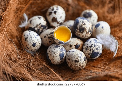 quail eggs on birds nest, fresh quail eggs and feather on wooden table background, raw eggs with peel egg shell
