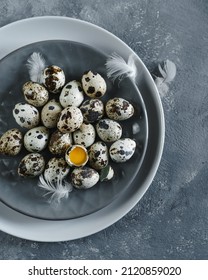 Quail eggs on a gray plate on a white plate on a gray table, bird feathers, quail egg yolk in a broken shell.