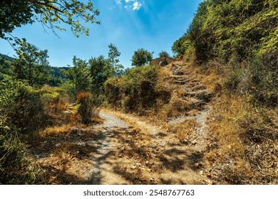 A quaint, stone-built church sits along a rustic trail in the forested hills of Messinia, Greece, surrounded by natural greenery and rugged terrain. - Powered by Shutterstock