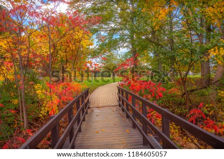 Quaint wooden bridge - a stunning gateway to the awesome fall Colors seen in a Niagara falls Park. The vibrant colours of autumn are mesmerising & give a surreal look to this magical Wonderland.