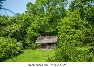 A quaint wooden cabin stands amidst lush green foliage, surrounded by a dense forest, with a serene and rustic ambiance - Powered by Shutterstock