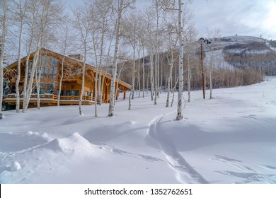 Aspen Cabin Images Stock Photos Vectors Shutterstock