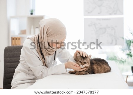 Qualified vet specialist petting cat while sitting on black rolling chair in modern veterinarian clinic. Caring woman wearing lab coat, hijab and stethoscope examining cute animal on medical couch.
