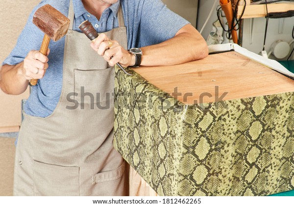 Qualified workman upholstering furniture in\
repair furniture\
workshop