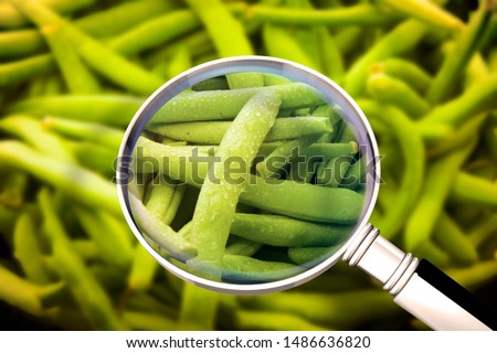 Quality control about freshness green beans - HACCP (Hazard Analyses and Critical Control Points) concept image with beans seen through a magnifying glass
