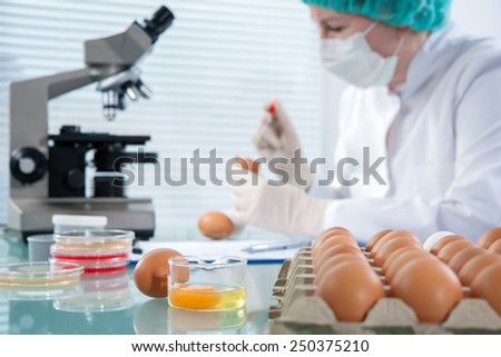 Quality control expert inspecting at chicken eggs in the laboratory