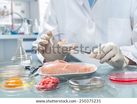 Quality control expert inspecting at food specimen in the laboratory