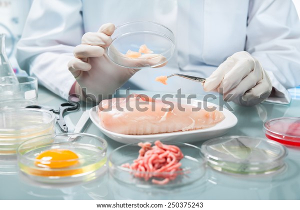 Quality control expert inspecting at food\
specimen in the\
laboratory