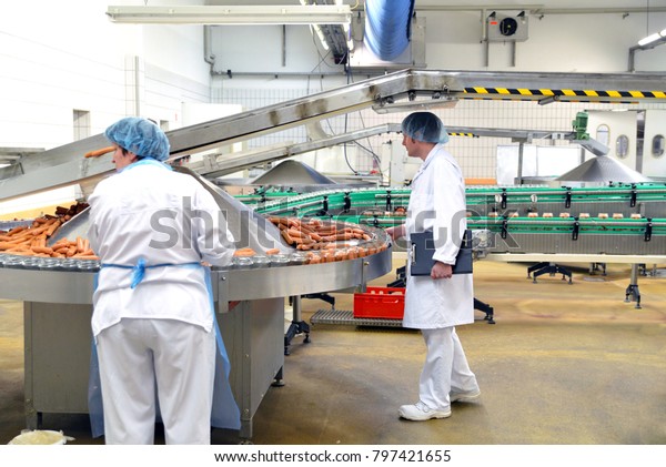 home production of quality meats and sausages free download