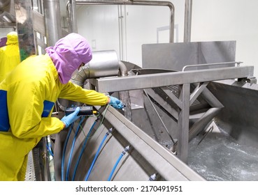 Quality Control Sampling Temperature Of Water In Chiller Tank. Quality Control Check In Chicken Meat Process Line..
