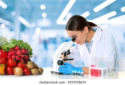 Quality Control Specialist Inspecting Food In Laboratory