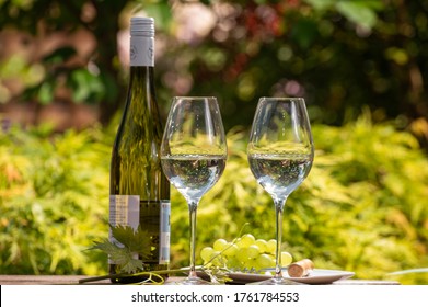 Quality Wine Tasting On Winery In Mosel Wine Redion In Germany, Two Glasses And One Bottle Of Riesling White Wine Served Outdoor In Garden In Sunny Day